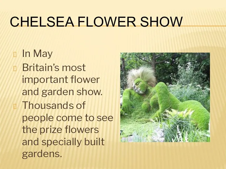 Chelsea Flower Show In May Britain’s most important flower and