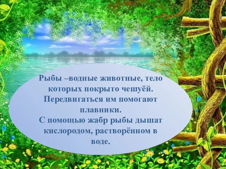 Рыбы –водные животные, тело которых покрыто чешуёй. Передвигаться им помогают