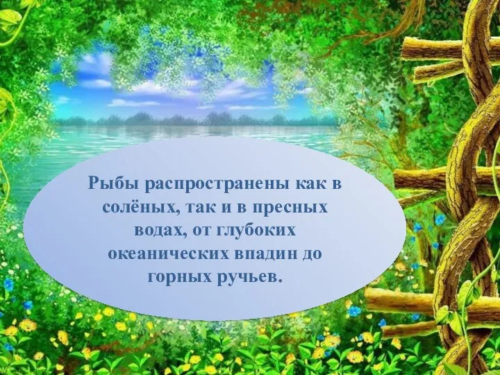 Рыбы распространены как в солёных, так и в пресных водах,