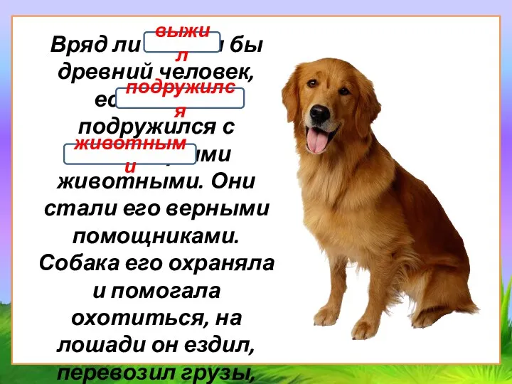 Вряд ли выжил бы древний человек, если бы не подружился с некоторыми животными.