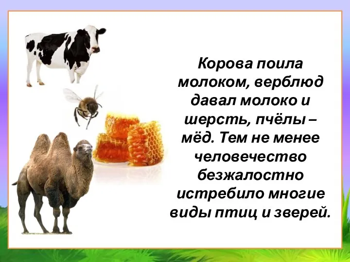 Корова поила молоком, верблюд давал молоко и шерсть, пчёлы – мёд. Тем не
