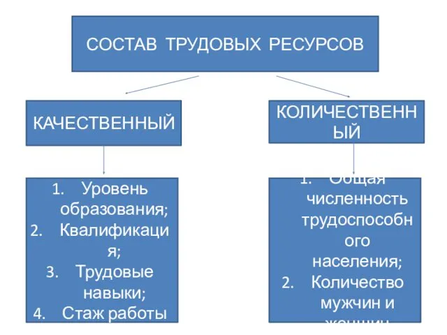 СОСТАВ ТРУДОВЫХ РЕСУРСОВ КАЧЕСТВЕННЫЙ КОЛИЧЕСТВЕННЫЙ Уровень образования; Квалификация; Трудовые навыки;