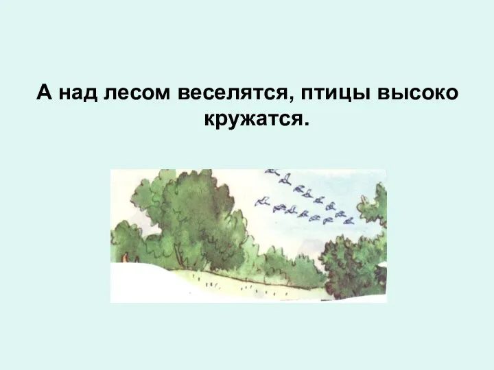 А над лесом веселятся, птицы высоко кружатся.