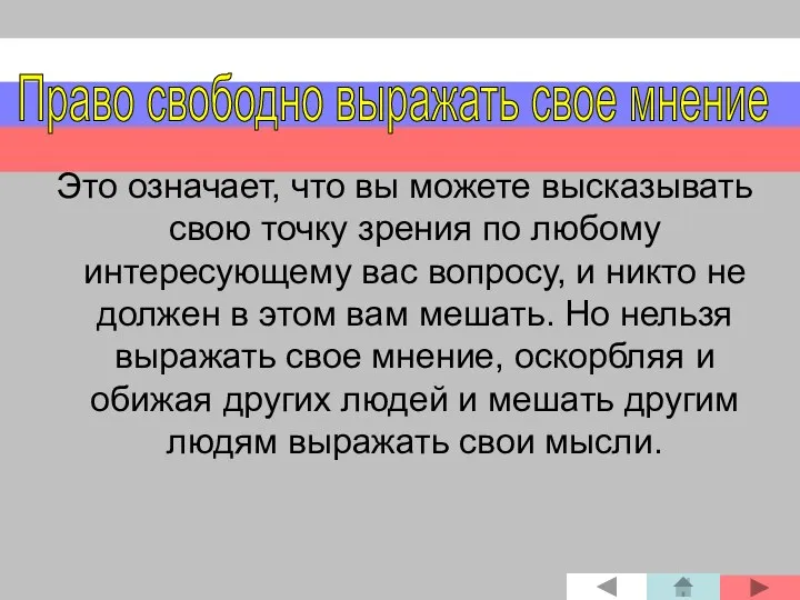 Это означает, что вы можете высказывать свою точку зрения по