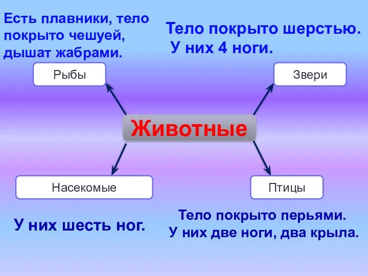 Животные Рыбы Звери Насекомые Птицы У них шесть ног. Тело покрыто шерстью. У