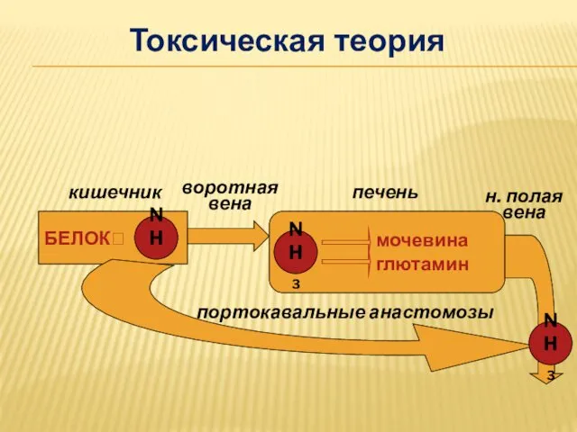 Токсическая теория