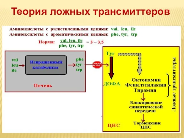 Теория ложных трансмиттеров