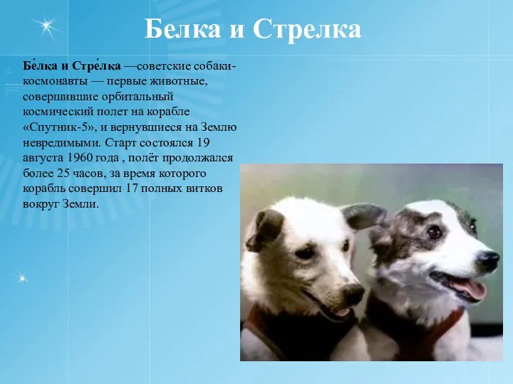 Белка и Стрелка Бе́лка и Стре́лка —советские собаки-космонавты — первые животные, совершившие орбитальный