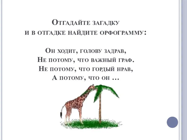 Отгадайте загадку и в отгадке найдите орфограмму: Он ходит, голову