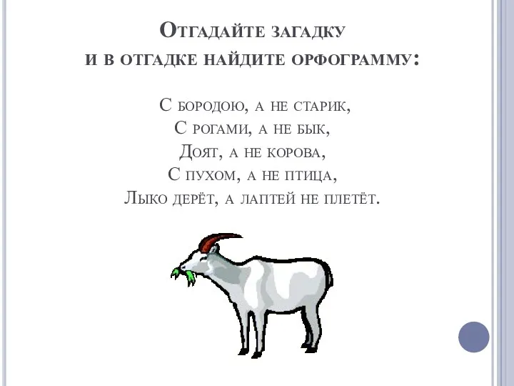 Отгадайте загадку и в отгадке найдите орфограмму: С бородою, а