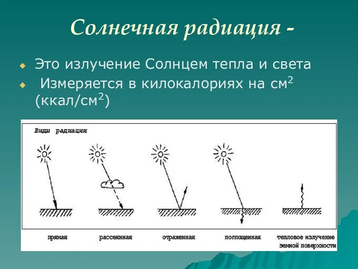 Солнечная радиация - Это излучение Солнцем тепла и света Измеряется в килокалориях на см2 (ккал/см2)