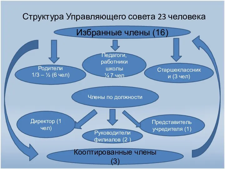 Структура Управляющего совета 23 человека Избранные члены (16) Кооптированные члены