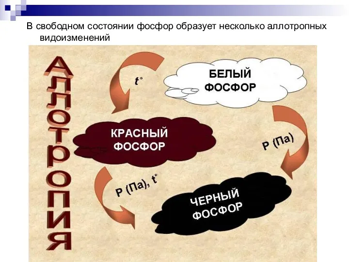 В свободном состоянии фосфор образует несколько аллотропных видоизменений