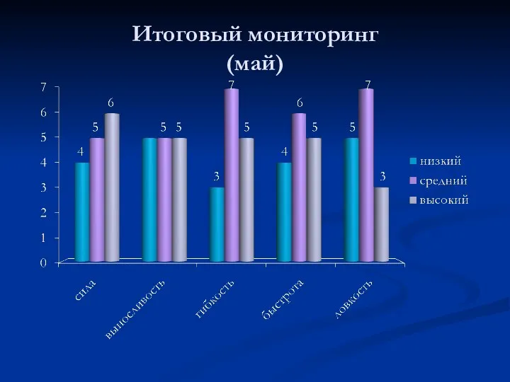 Итоговый мониторинг (май)