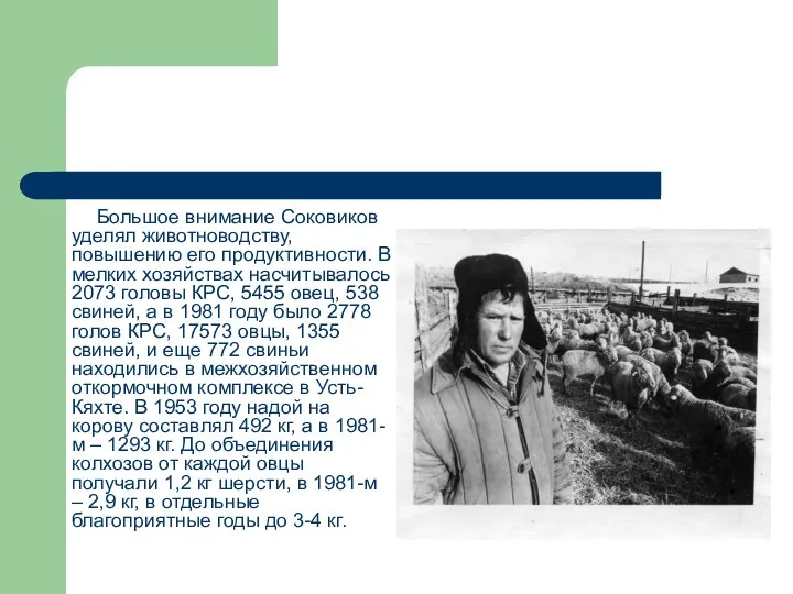 Большое внимание Соковиков уделял животноводству, повышению его продуктивности. В мелких хозяйствах насчитывалось 2073