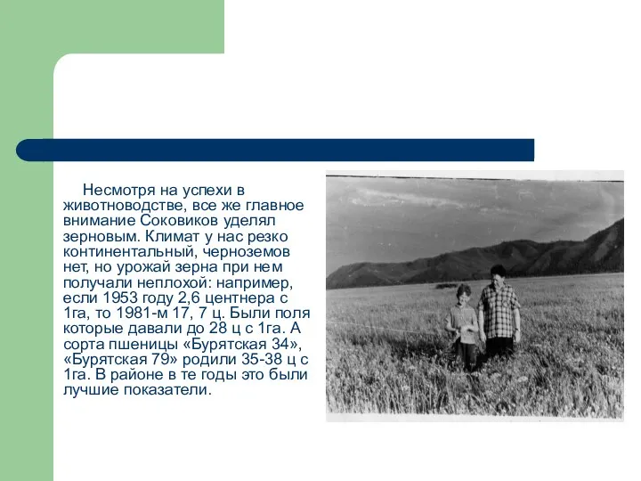 Несмотря на успехи в животноводстве, все же главное внимание Соковиков уделял зерновым. Климат