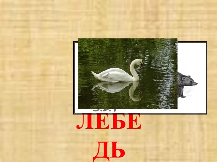 ЛЕБЕДЬ