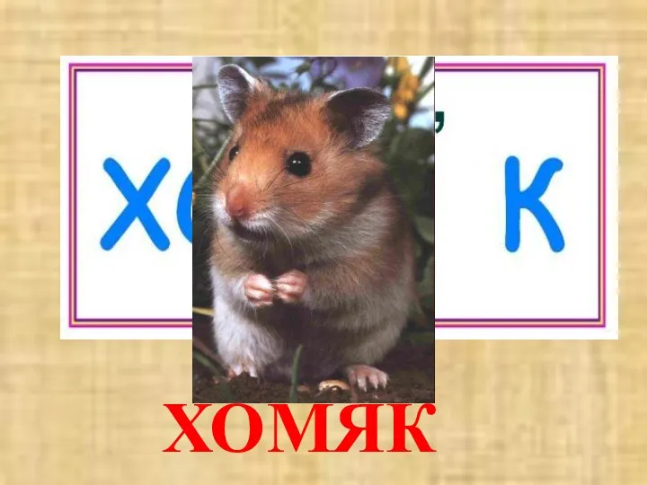 ХОМЯК