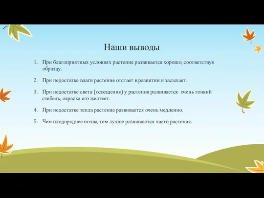 Наши выводы При благоприятных условиях растение развивается хорошо, соответствуя образцу.