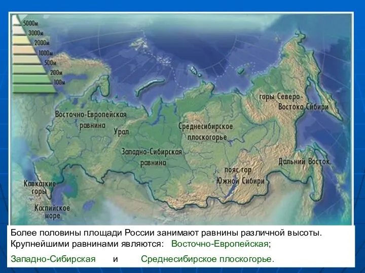 Более половины площади России занимают равнины различной высоты. Крупнейшими равнинами являются: Восточно-Европейская; Западно-Сибирская и Среднесибирское плоскогорье.