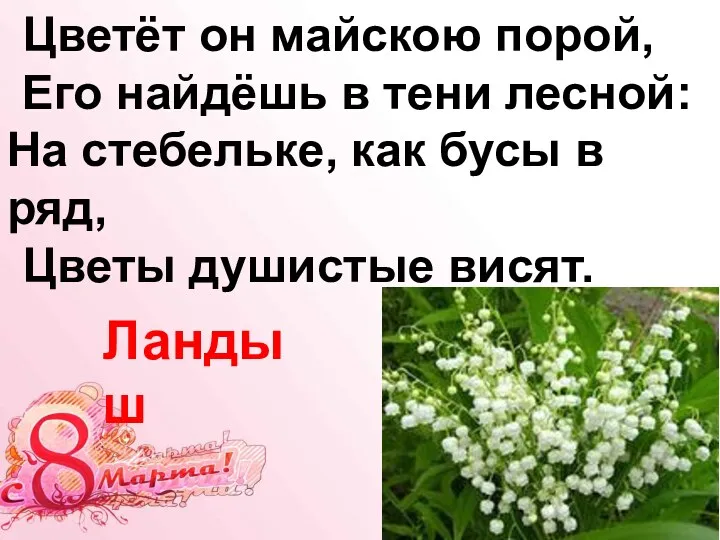 Цветёт он майскою порой, Его найдёшь в тени лесной: На стебельке, как бусы