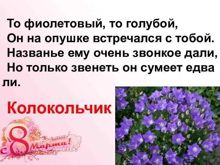 То фиолетовый, то голубой, Он на опушке встречался с тобой. Названье ему очень