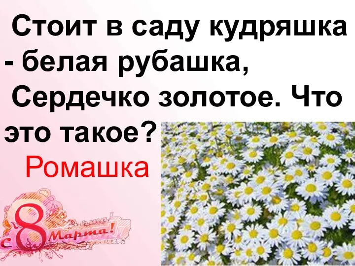 Стоит в саду кудряшка - белая рубашка, Сердечко золотое. Что это такое? Ромашка