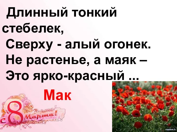 Длинный тонкий стебелек, Сверху - алый огонек. Не растенье, а маяк – Это ярко-красный ... Мак