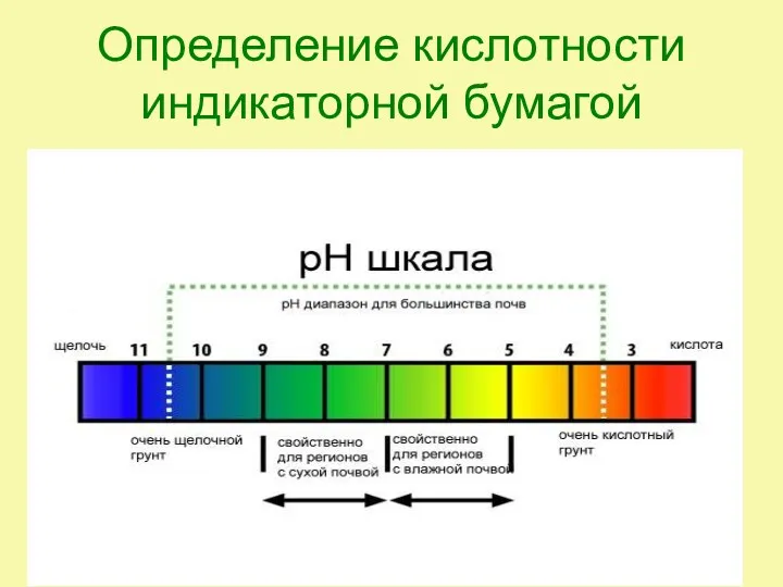 Определение кислотности индикаторной бумагой