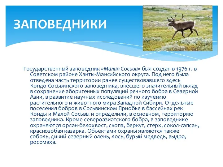Государственный заповедник «Малая Сосьва» был создан в 1976 г. в Советском районе Ханты-Мансийского