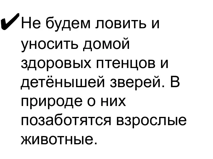 Не будем ловить и уносить домой здоровых птенцов и детёнышей