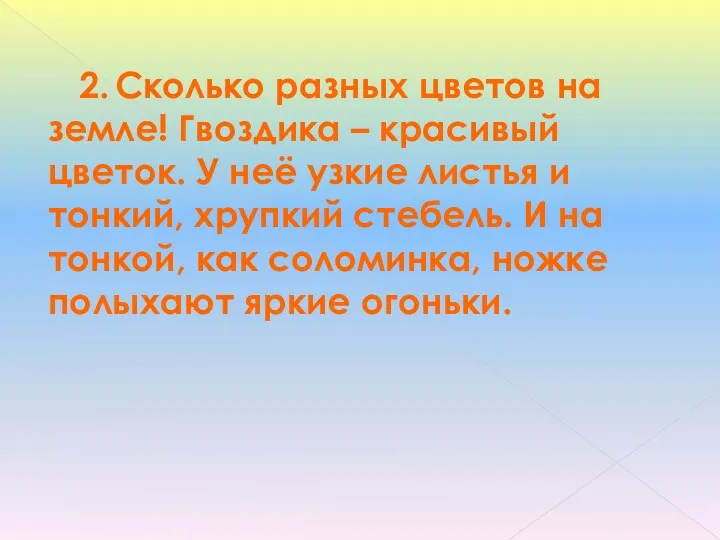 2. Сколько разных цветов на земле! Гвоздика – красивый цветок.