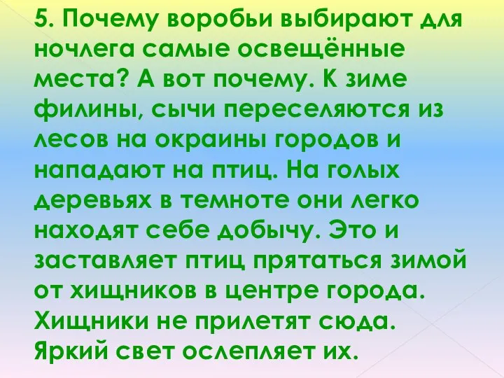 5. Почему воробьи выбирают для ночлега самые освещённые места? А