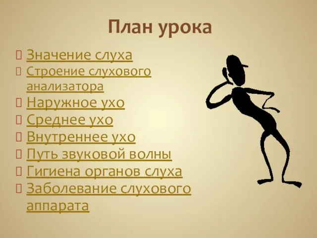 План урока Значение слуха Строение слухового анализатора Наружное ухо Среднее