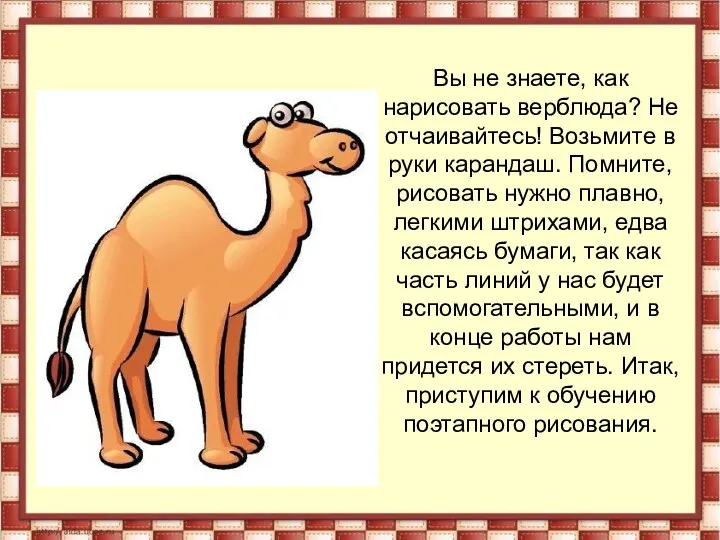 Вы не знаете, как нарисовать верблюда? Не отчаивайтесь! Возьмите в