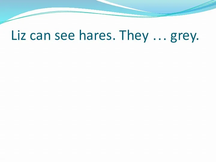 Liz can see hares. They … grey.