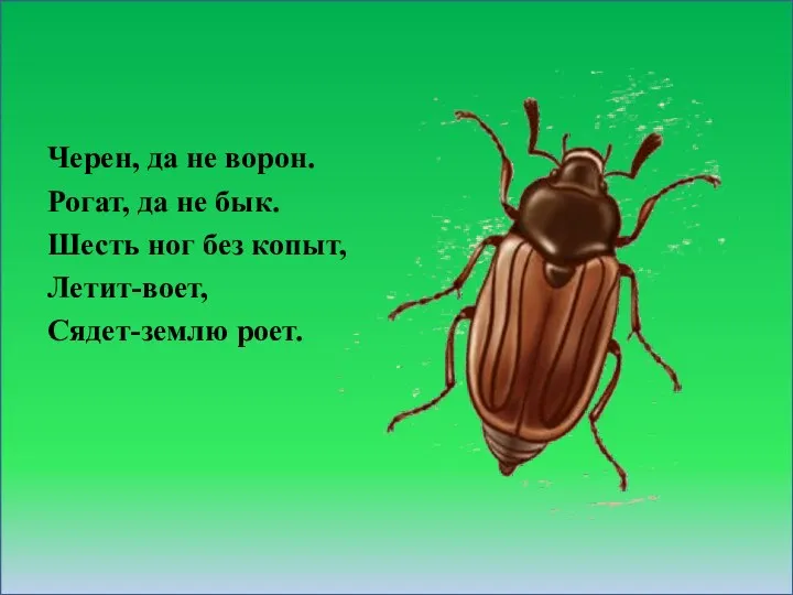 Черен, да не ворон. Рогат, да не бык. Шесть ног без копыт, Летит-воет, Сядет-землю роет.