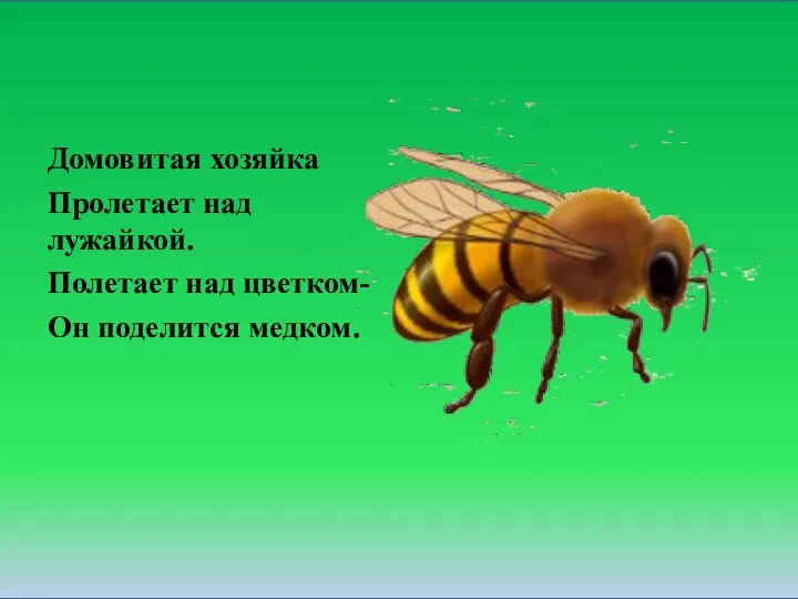 Домовитая хозяйка Пролетает над лужайкой. Полетает над цветком- Он поделится медком.