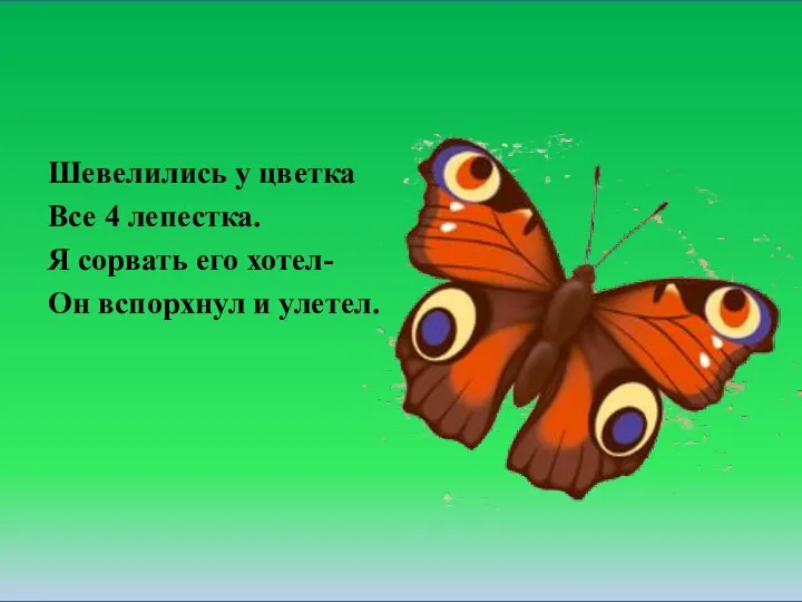 Шевелились у цветка Все 4 лепестка. Я сорвать его хотел- Он вспорхнул и улетел.