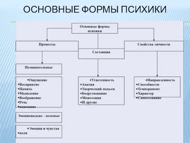 ОСНОВНЫЕ ФОРМЫ ПСИХИКИ