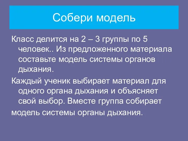 Собери модель Класс делится на 2 – 3 группы по