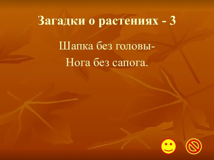 Загадки о растениях - 3 Шапка без головы- Нога без сапога.