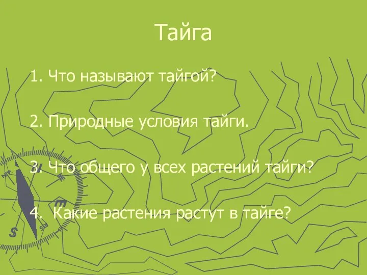 Тайга 1. Что называют тайгой? 2. Природные условия тайги. 3.