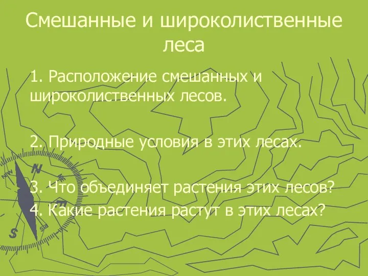 Смешанные и широколиственные леса 1. Расположение смешанных и широколиственных лесов.