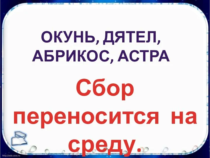 Сбор переносится на среду. ОКУНЬ, ДЯТЕЛ, АБРИКОС, АСТРА