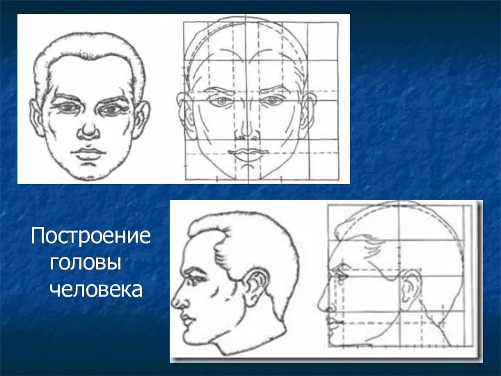 Построение головы человека