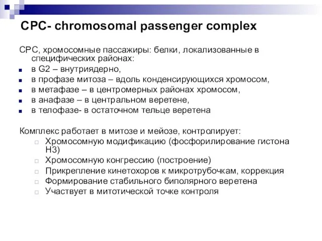 CPC, хромосомные пассажиры: белки, локализованные в специфических районах: в G2 – внутриядерно, в