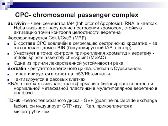 СРС- chromosomal passenger complex Survivin – член семейства IAP (Inhibitor of Apoptosis). RNAi