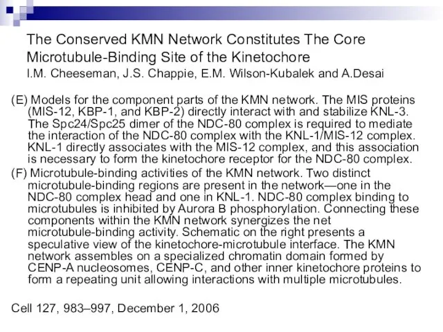 The Conserved KMN Network Constitutes The Core Microtubule-Binding Site of the Kinetochore I.M.