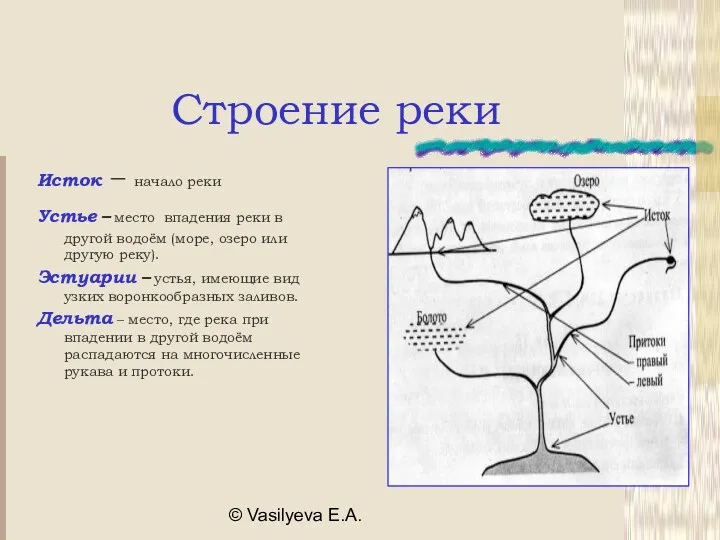 © Vasilyeva E.A. Строение реки Исток – начало реки Устье